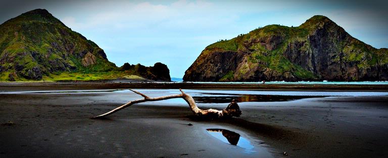 Washed ashore at Whatipu